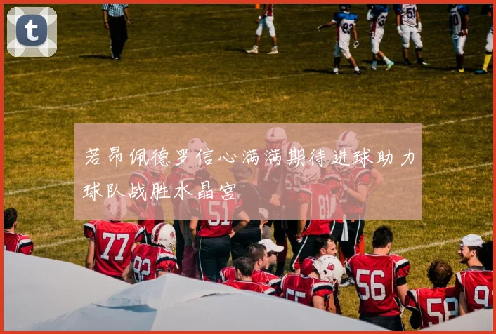 若昂佩德罗信心满满期待进球助力球队战胜水晶宫
