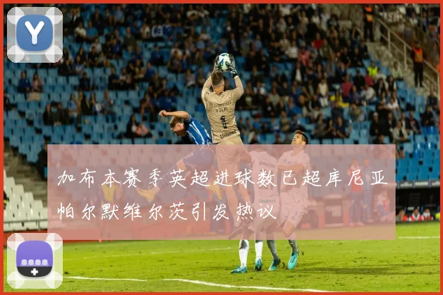加布本赛季英超进球数已超库尼亚帕尔默维尔茨引发热议