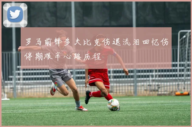 罗马前锋多夫比克伤退流泪回忆伤停期艰辛心路历程