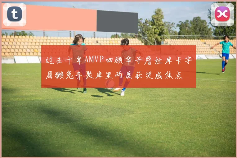 过去十年AMVP回顾华子詹杜库卡字眉獭兔齐聚库里两度获奖成焦点