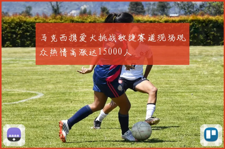 马克西携爱犬挑战敏捷赛道现场观众热情高涨达15000人