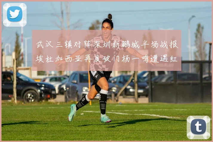 武汉三镇对阵深圳新鹏城半场战报埃杜加西亚再度破门杨一鸣遭遇红牌处罚