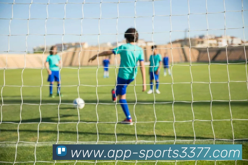 3377体育APP 封面图